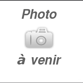 cropped-Capture-d’écran-2019-12-01-à-12.24.18-3.png